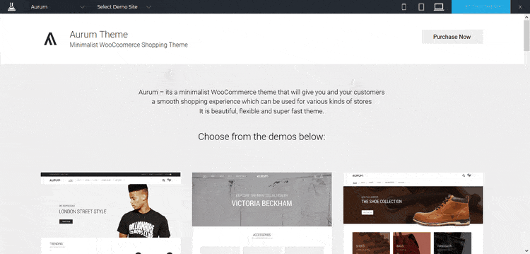 Demo of Aurum E-Commerce WordPress Theme