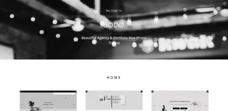 Demo of Bodo Portfolio & Photography Gallery WordPress Theme