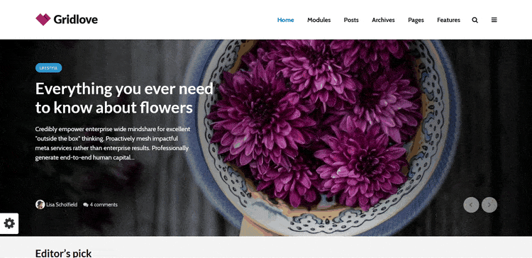 Demo of GridLove Blog & Magazine WordPress Theme