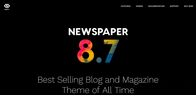 Demo of Newspaper Blog & Magazine WordPress Theme