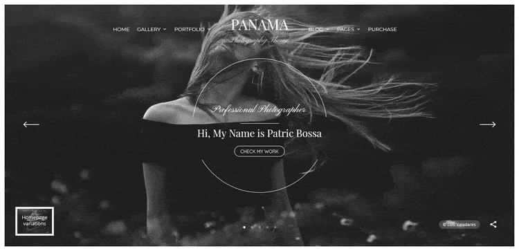 Demo of Panama Portfolio & Photography Gallery WordPress Theme