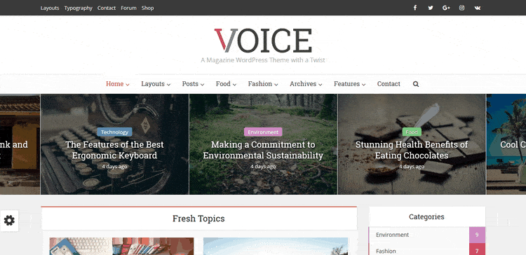 Demo of Voice Blog & Magazine WordPress Theme