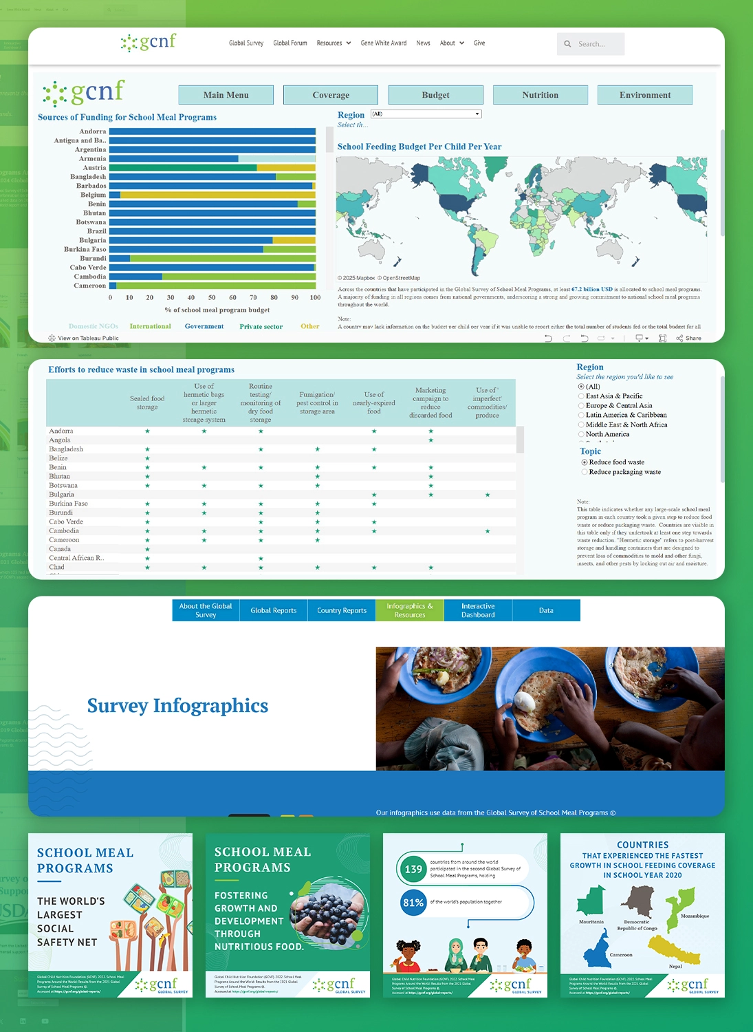 Global Child Nutrition Foundation