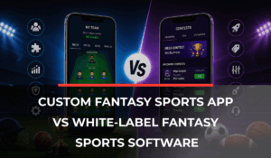 Custom Fantasy Sports App vs White-Label Fantasy Sports Software_ Which Should You Choose_