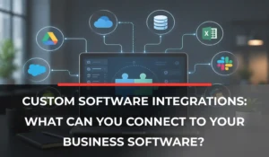 Custom Software Integrations_ What Can You Connect to Your Business Software_
